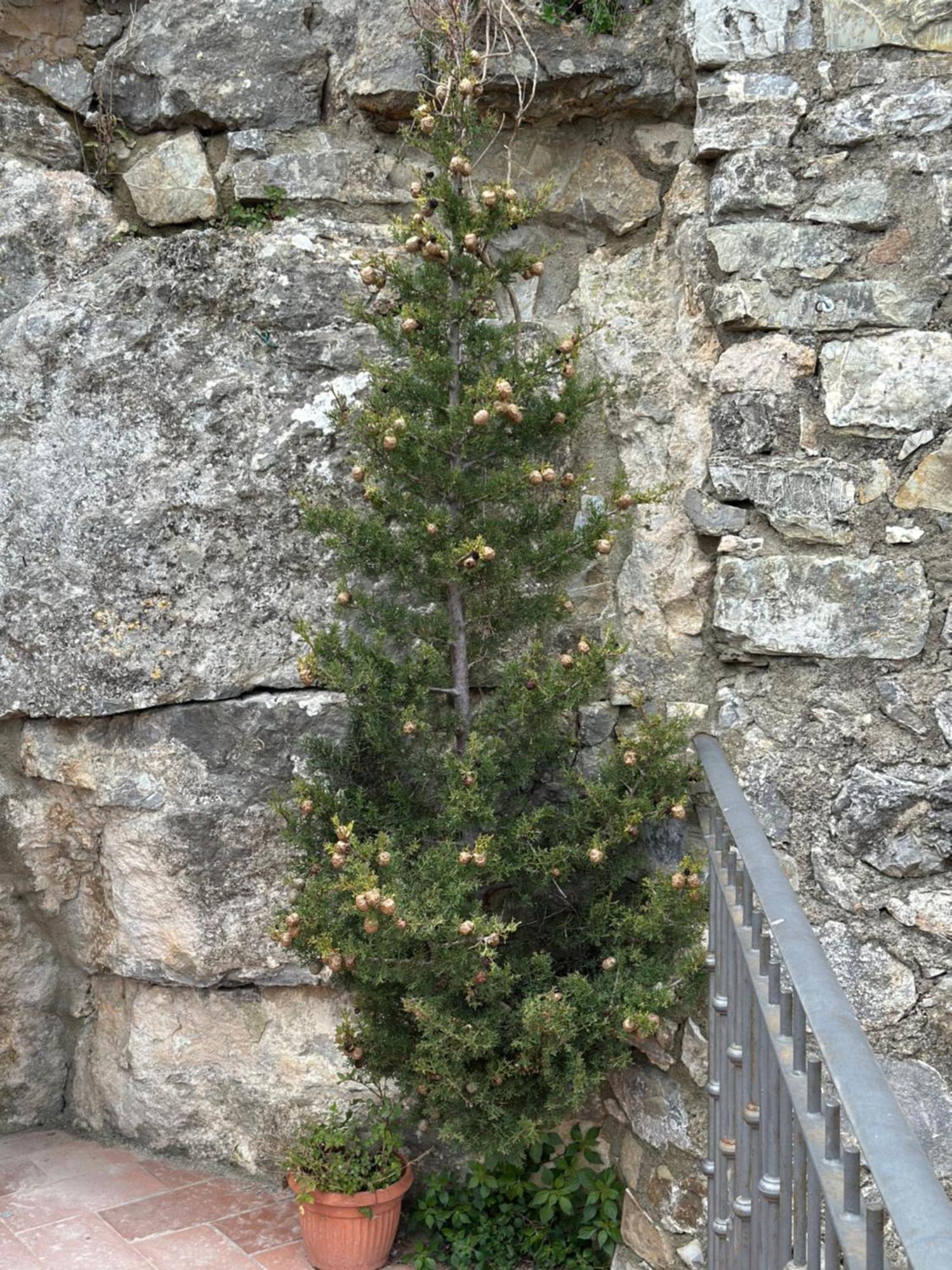 Apartamento Ermione Castiglione dʼOrcia Exterior foto